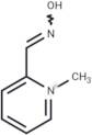 Pralidoxime