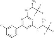 Vorasidenib