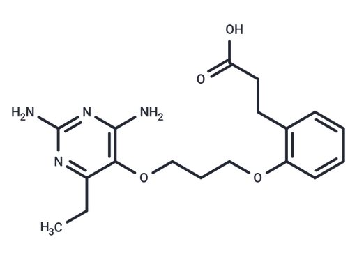 DHFR-IN-5