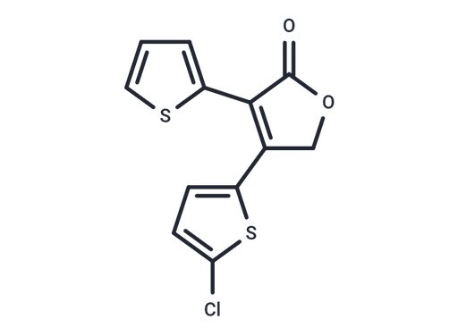 YC-001