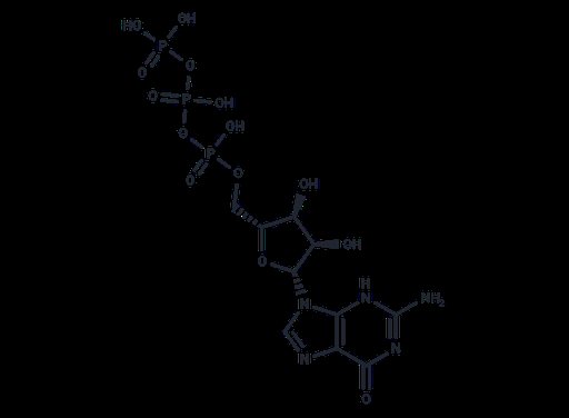 Guanosine triphosphate