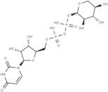 UDP-xylose