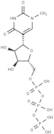 N1-Methylpseudouridine-5′-triphosphate