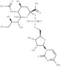 CMP-Sialic acid