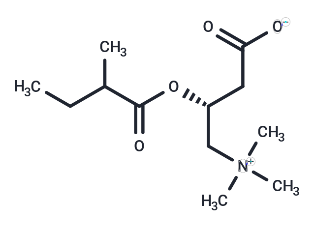 2-Methylbutyrylcarnitine