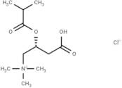 Isobutyryl-L-carnitine chloride