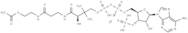 Acetyl coenzyme A lithium