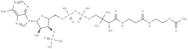 Acetyl coenzyme A