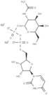 UDP-GalNAc disodium