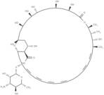 Amphotericin A