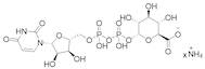 Uridine diphosphate glucuronic acid ammonium