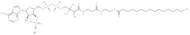 Palmitoyl CoA lithium