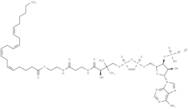 Arachidonoyl coenzyme A lithium