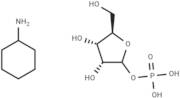 D-Ribofuranose1-dihydrogenphosphate dicyclohexanamine