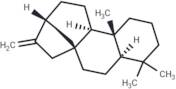 ent-Kaurene