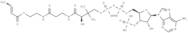 Crotonyl-CoA