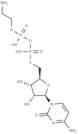 Cytidine 5′-diphosphoethanolamine