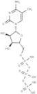 5-Methylcytidine 5′-triphosphate