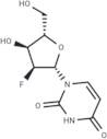 2'-Deoxy-2'-fluoro-l-uridine