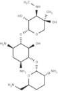 Gentamicin C1a