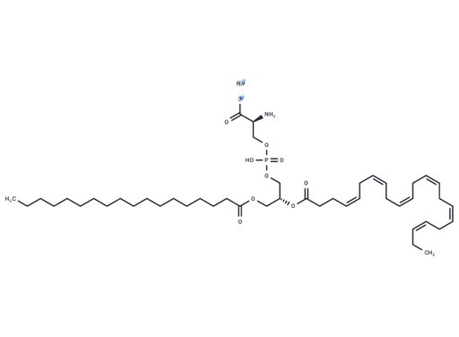 18:0,22:6 PS sodium