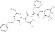 Enzyme-IN-1