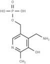 Pyridoxamine 5′-phosphate