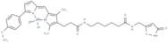 Bodipy TMR-X muscimol