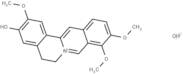 Jatrorrhizine hydroxide