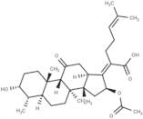 11-Keto fusidic acid