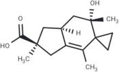 Paneolilludinic acid