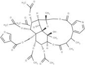 Hypoglaunine D