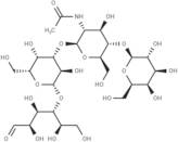 Lacto-N-neotetraose