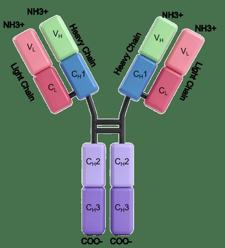 Pamrevlumab