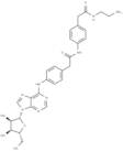 Adenosine amine congener