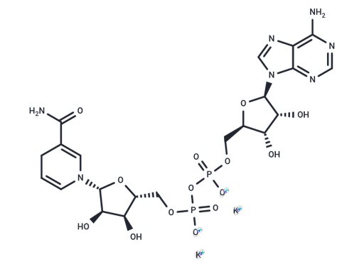 β-Nicotinamide adenine dinucleotide reduced dipotassium