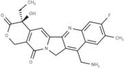 7-Aminomethyl-10-methyl-11-fluoro camptothecin