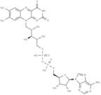 Sacituzumab govitecan