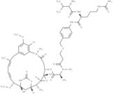 vc-PABC-DM1