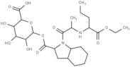 Perindopril acyl-β-D-glucuronide