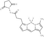 BODIPY-FL NHS ester