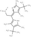 Pyrromethene 597