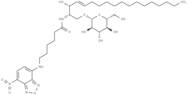 C6 NBD Glucosylceramide