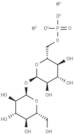 α,α-Trehalose 6-phosphate potassium