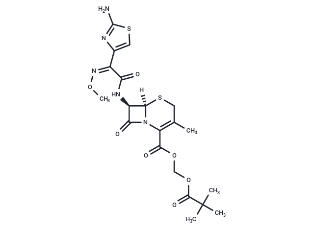 Cefetamet pivoxyl