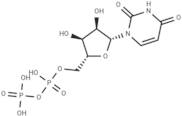 Uridine 5'-diphosphate