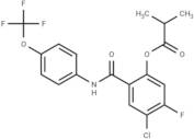 SARS-CoV-2-IN-38