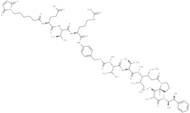 MC-EVCit-PAB-MMAE