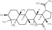 3β-Hydroxy-lup-20(29)-en-16-one