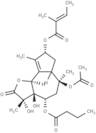 Notrilobolide